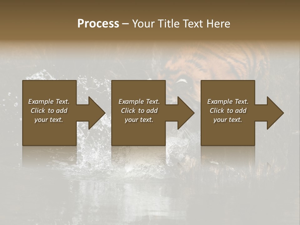 Tiger Wallpaper Hd PowerPoint Template