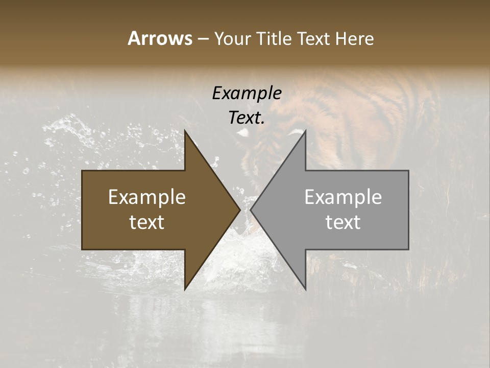 Tiger Wallpaper Hd PowerPoint Template