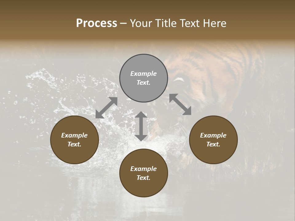 Tiger Wallpaper Hd PowerPoint Template