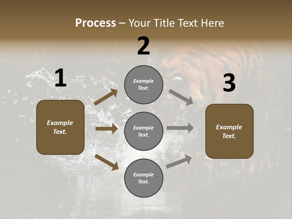 Tiger Wallpaper Hd PowerPoint Template