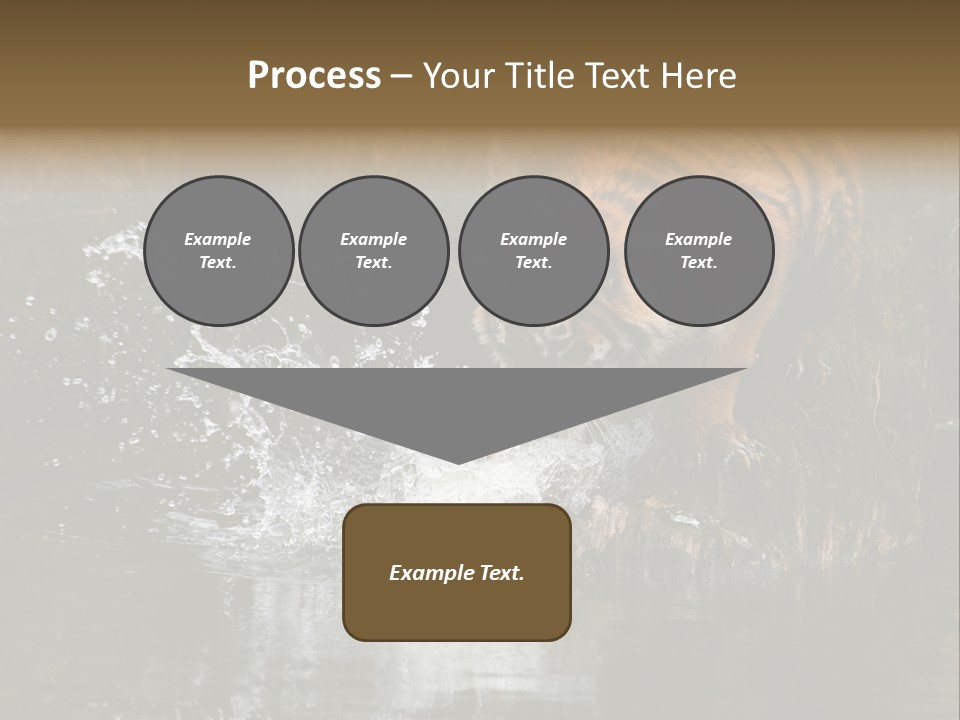 Tiger Wallpaper Hd PowerPoint Template