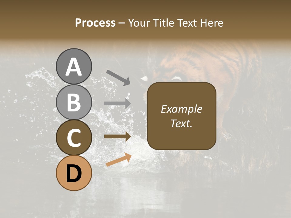 Tiger Wallpaper Hd PowerPoint Template