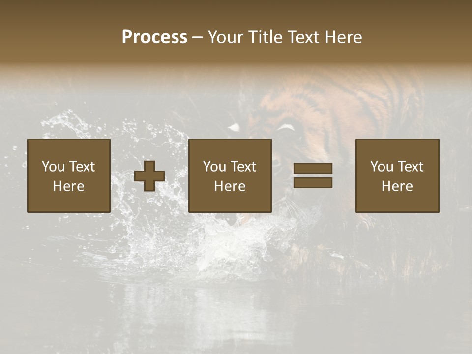 Tiger Wallpaper Hd PowerPoint Template