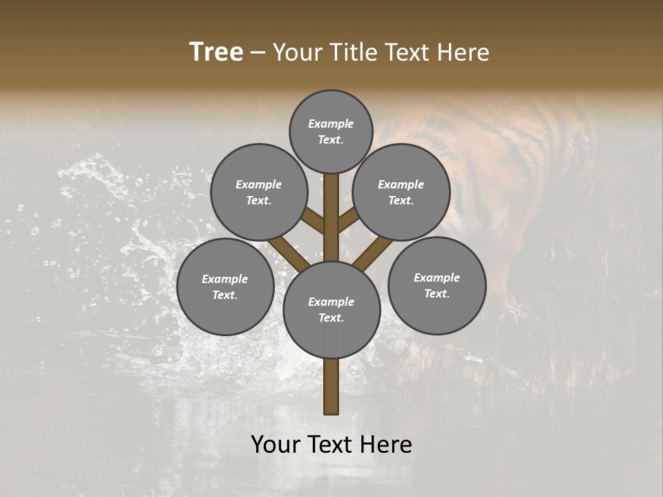 Tiger Wallpaper Hd PowerPoint Template