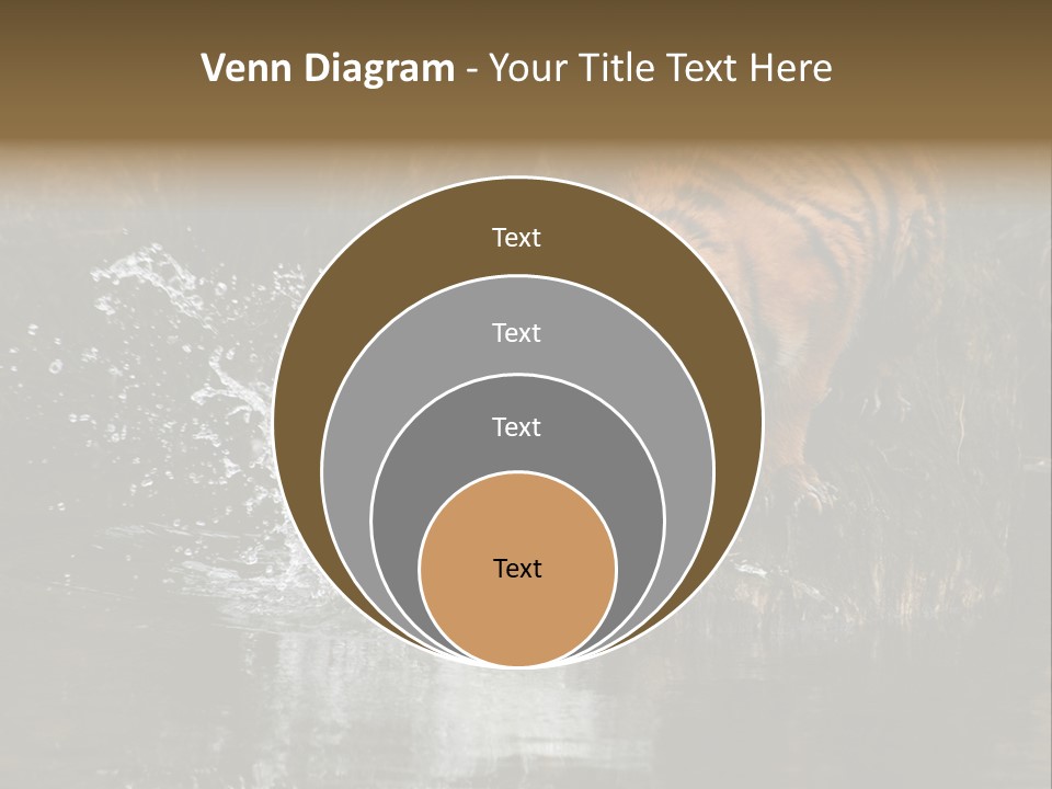 Tiger Wallpaper Hd PowerPoint Template