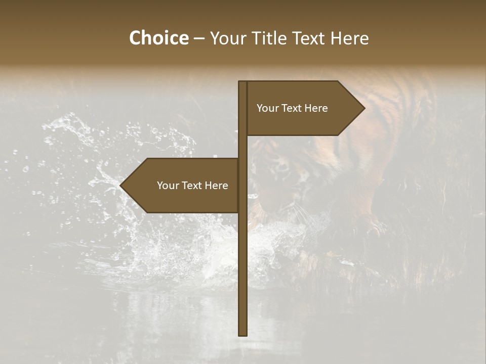 Tiger Wallpaper Hd PowerPoint Template