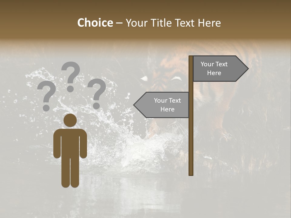 Tiger Wallpaper Hd PowerPoint Template