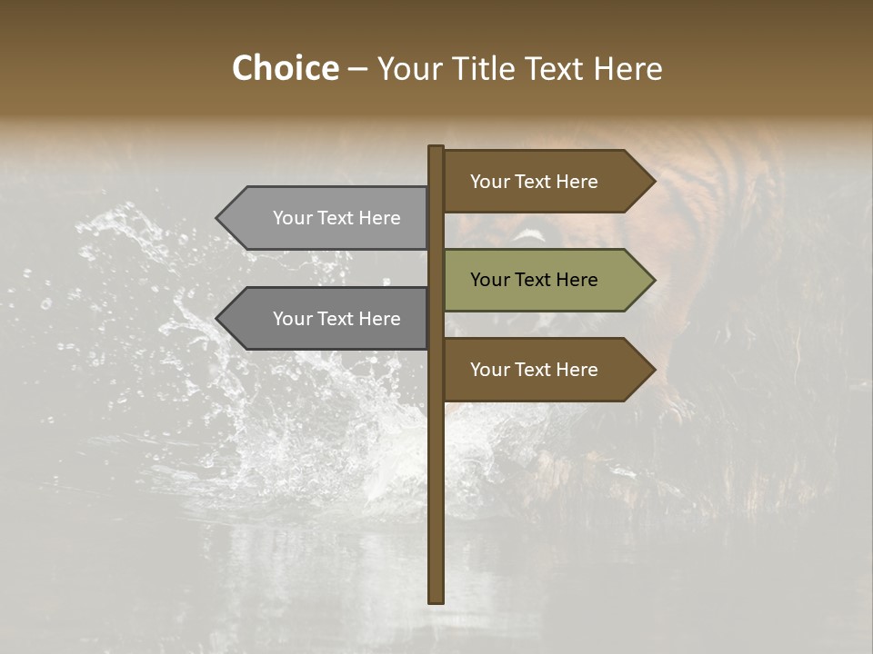 Tiger Wallpaper Hd PowerPoint Template