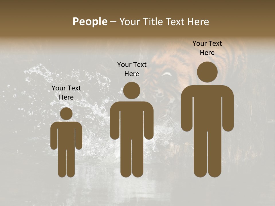 Tiger Wallpaper Hd PowerPoint Template