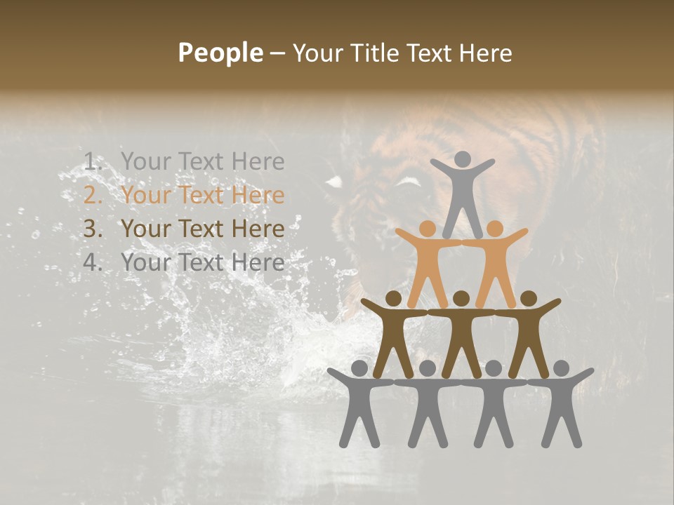 Tiger Wallpaper Hd PowerPoint Template