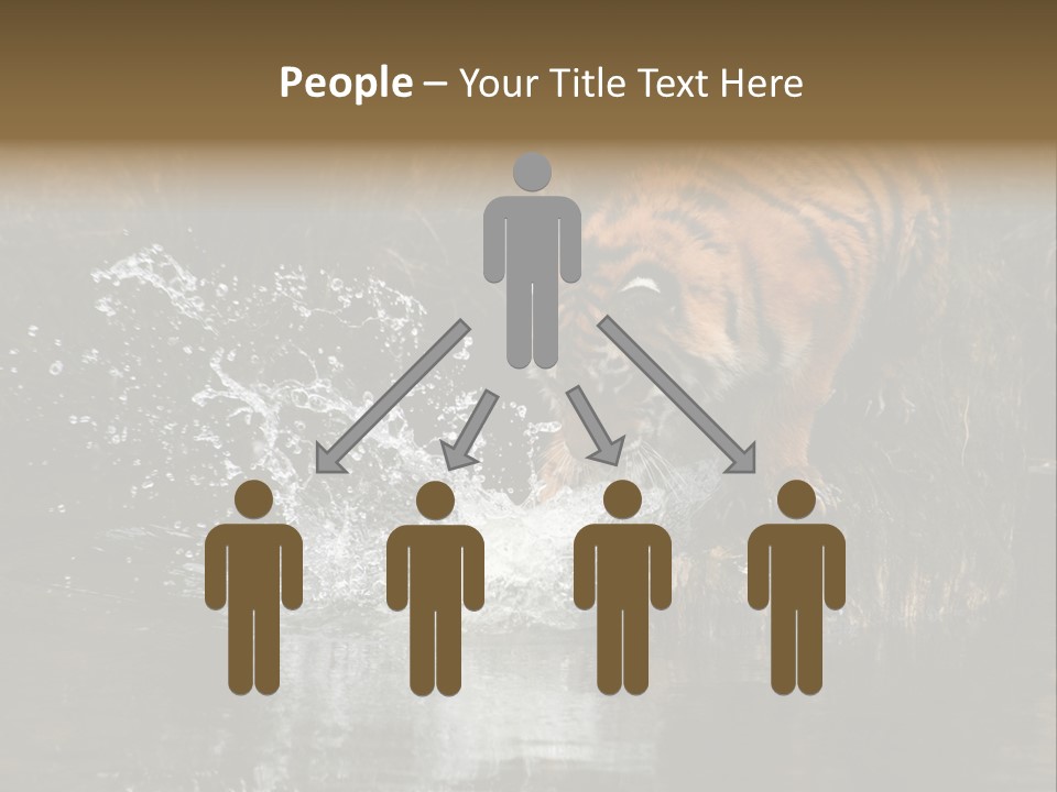 Tiger Wallpaper Hd PowerPoint Template