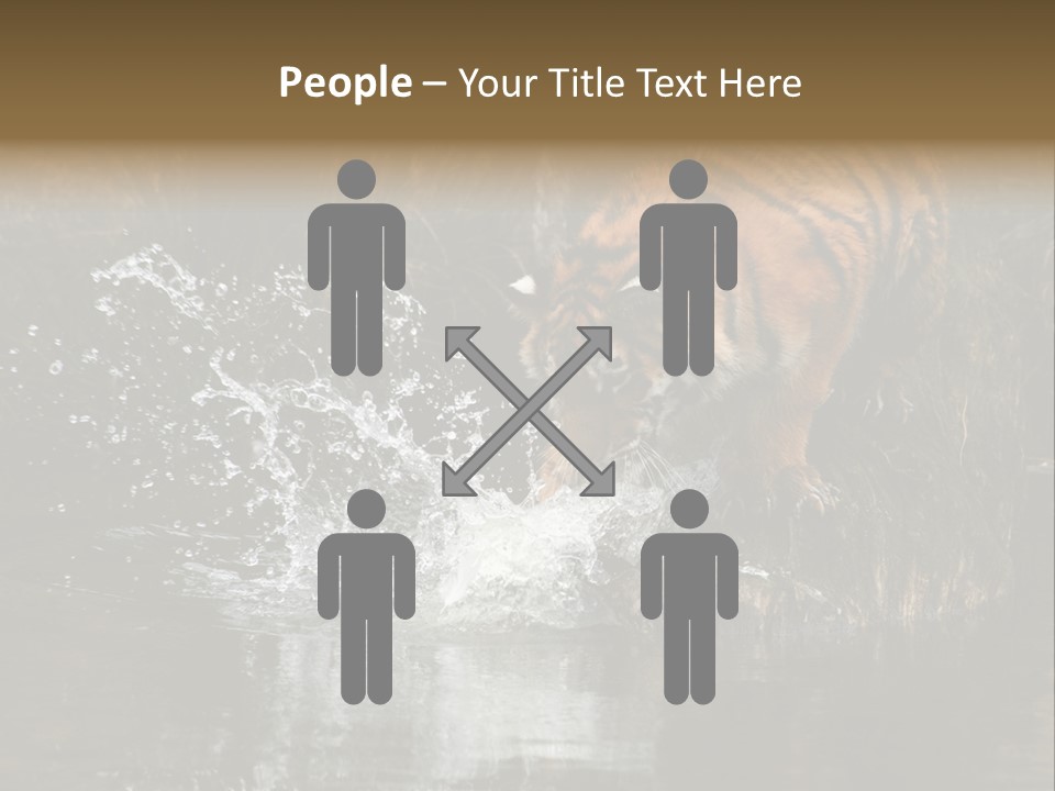 Tiger Wallpaper Hd PowerPoint Template