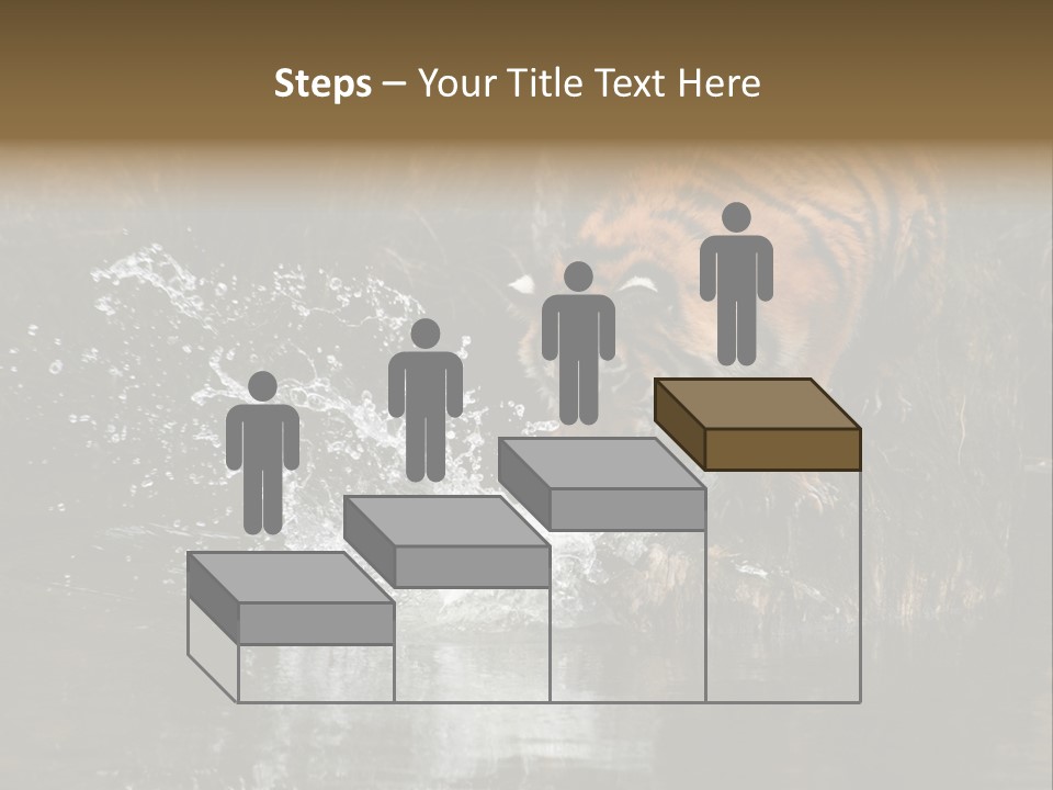 Tiger Wallpaper Hd PowerPoint Template