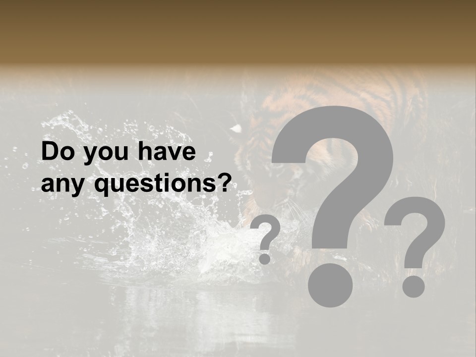 Tiger Wallpaper Hd PowerPoint Template