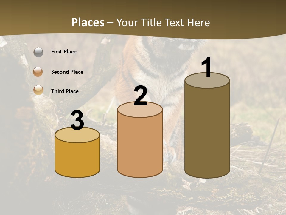 Siberian Tiger PowerPoint Template