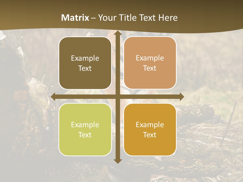Siberian Tiger PowerPoint Template