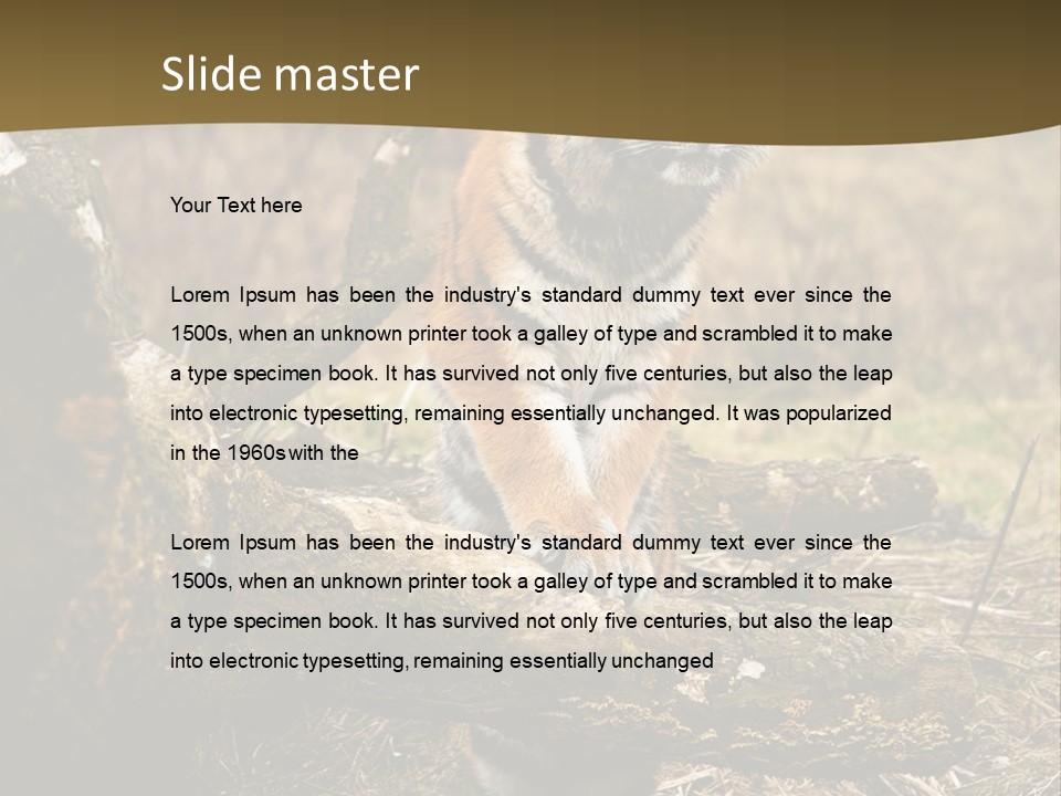 Siberian Tiger PowerPoint Template