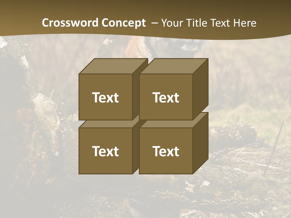 Siberian Tiger PowerPoint Template