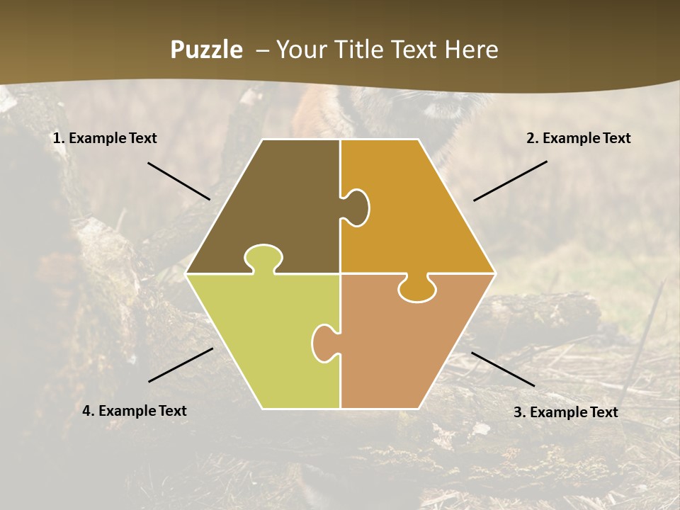 Siberian Tiger PowerPoint Template