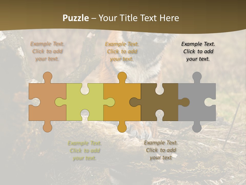 Siberian Tiger PowerPoint Template