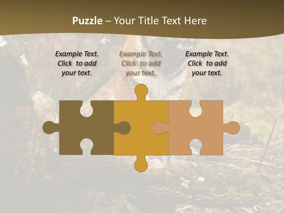 Siberian Tiger PowerPoint Template