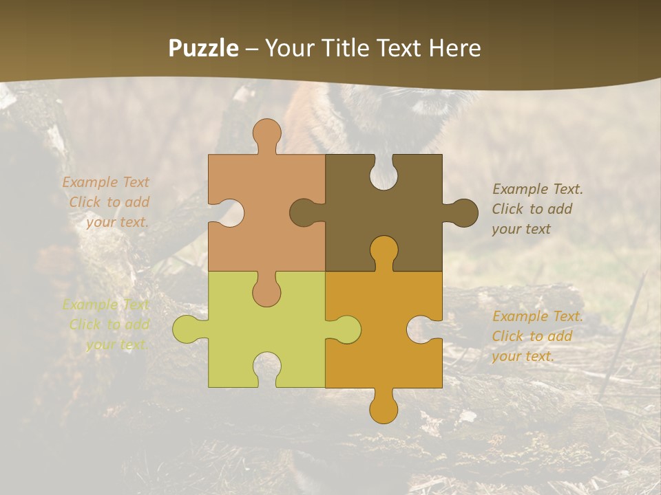 Siberian Tiger PowerPoint Template