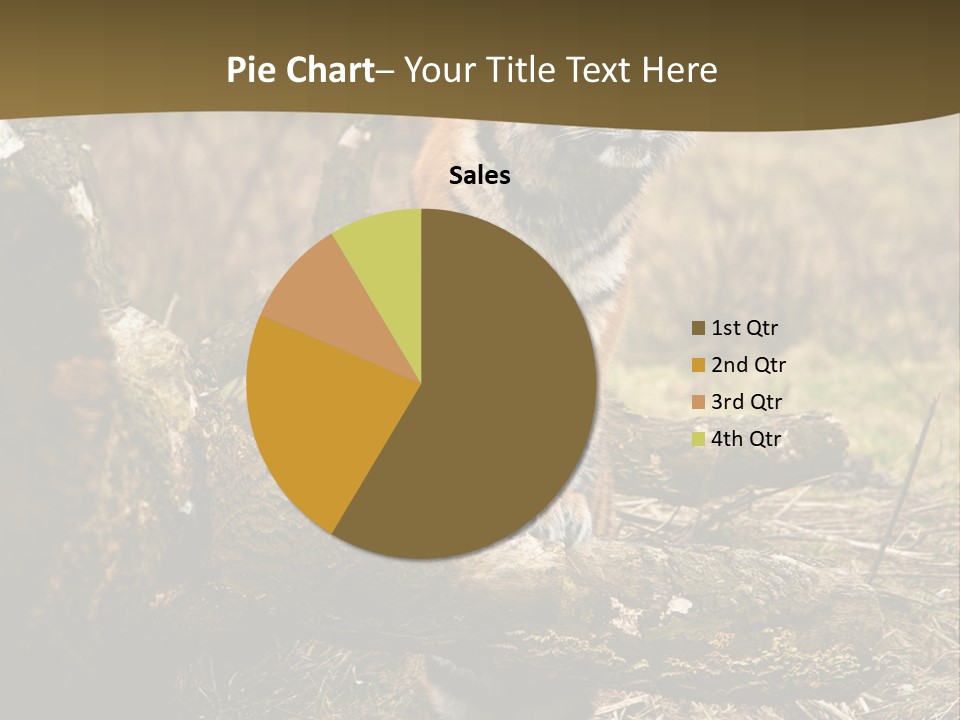 Siberian Tiger PowerPoint Template