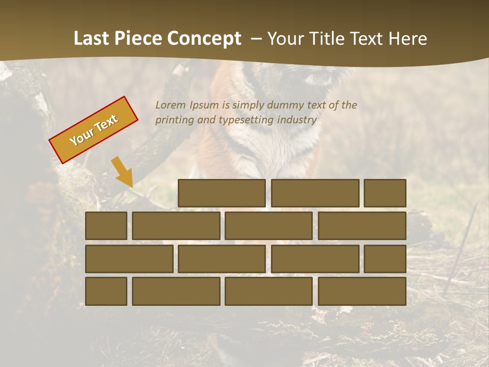 Siberian Tiger PowerPoint Template