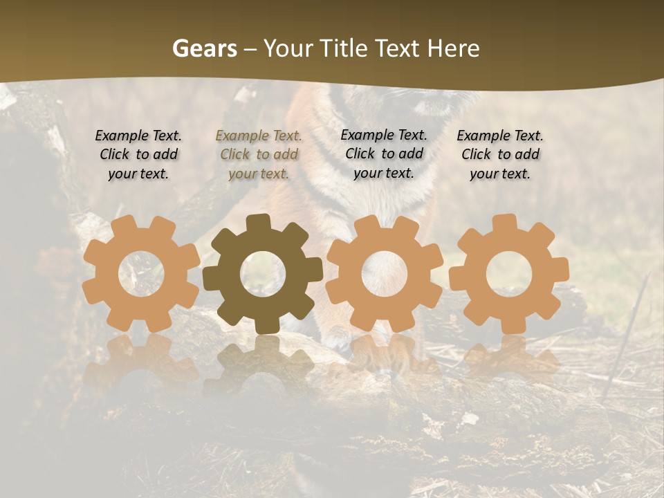 Siberian Tiger PowerPoint Template