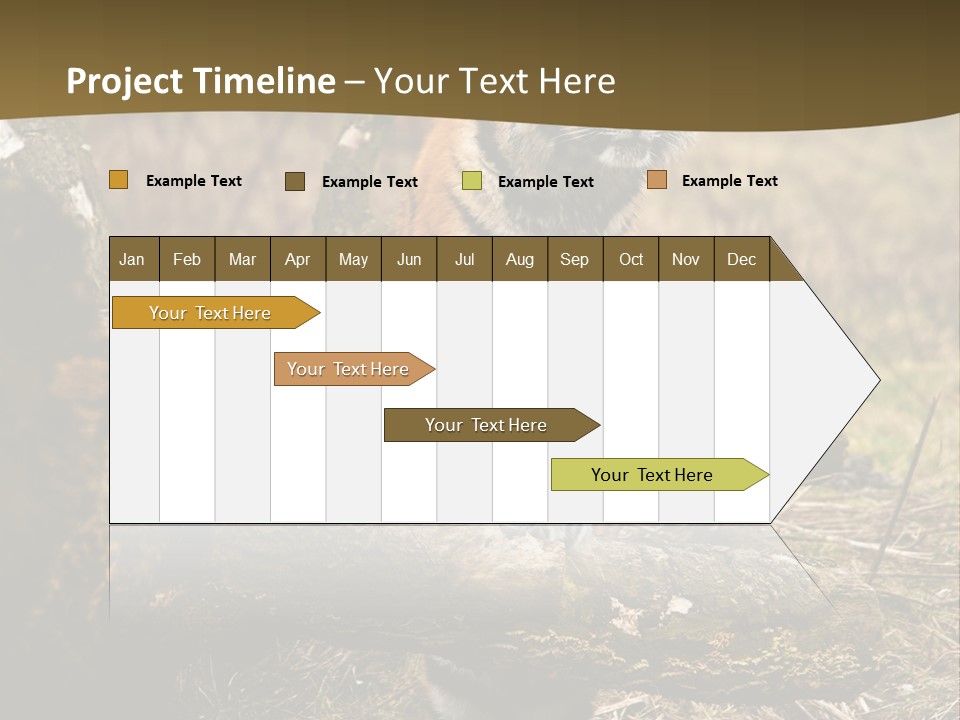 Siberian Tiger PowerPoint Template