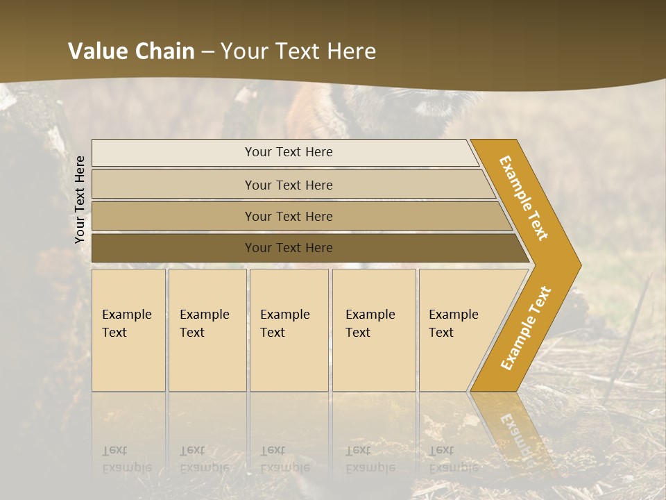 Siberian Tiger PowerPoint Template