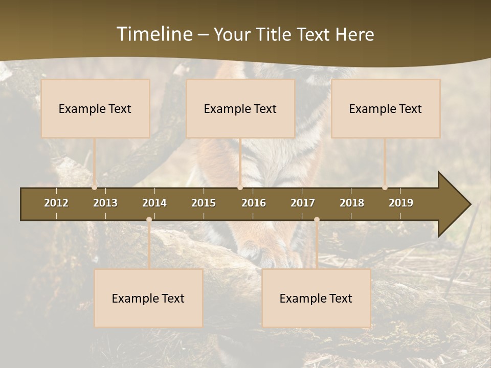 Siberian Tiger PowerPoint Template