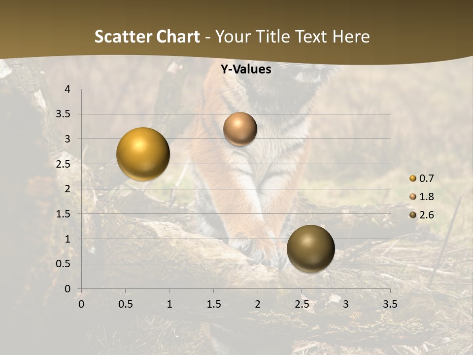 Siberian Tiger PowerPoint Template