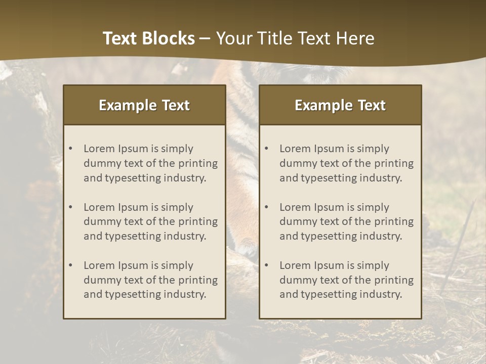 Siberian Tiger PowerPoint Template