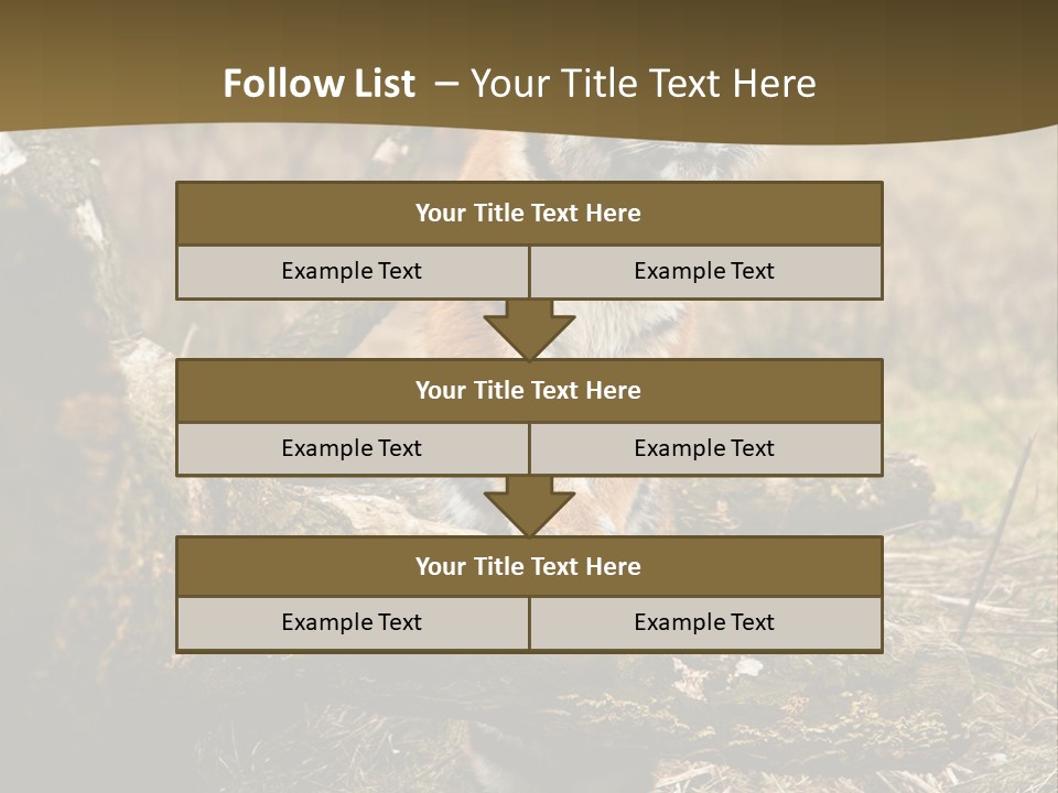Siberian Tiger PowerPoint Template