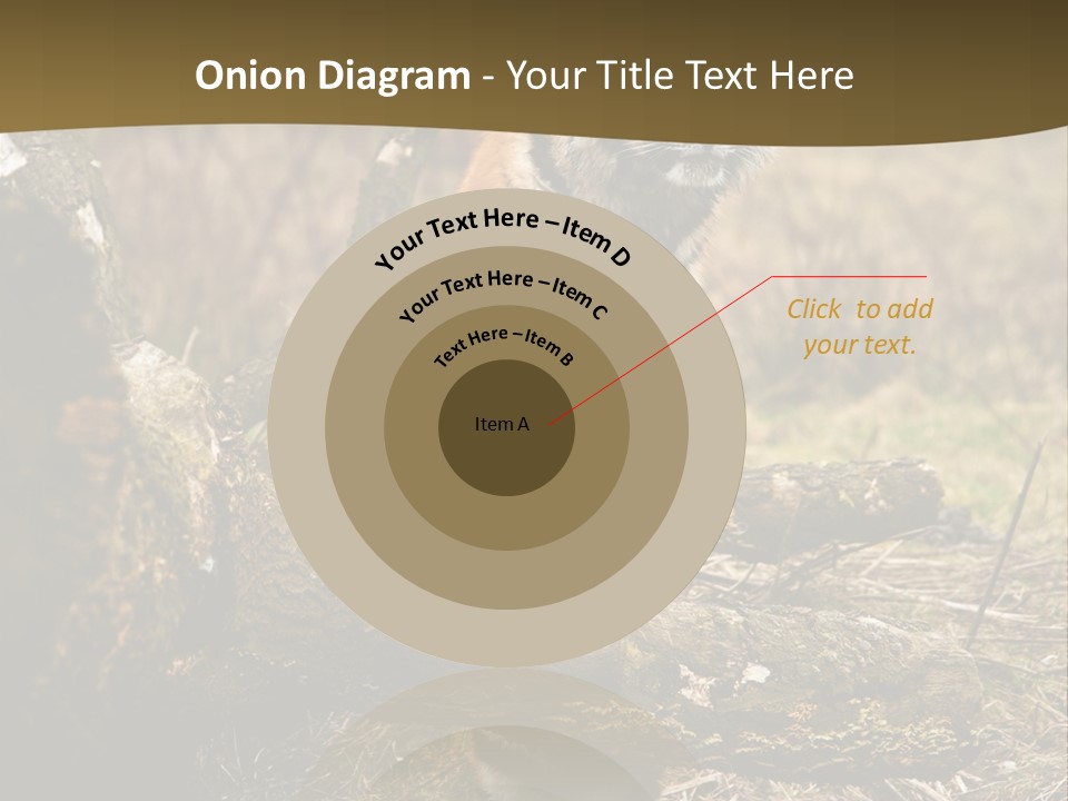 Siberian Tiger PowerPoint Template