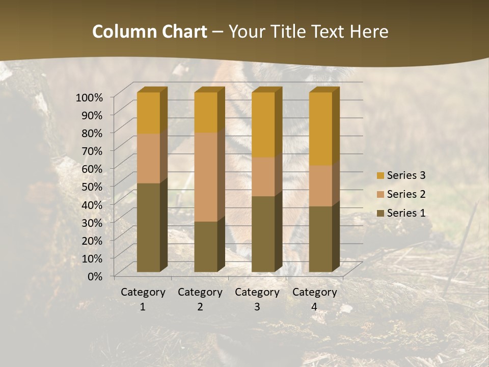 Siberian Tiger PowerPoint Template