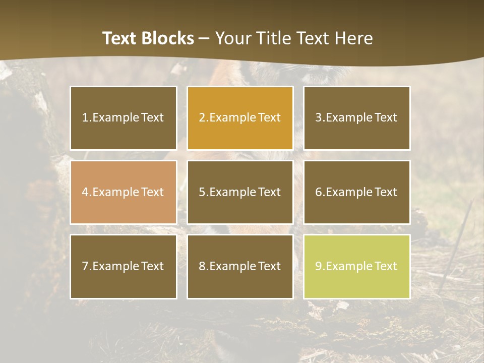 Siberian Tiger PowerPoint Template