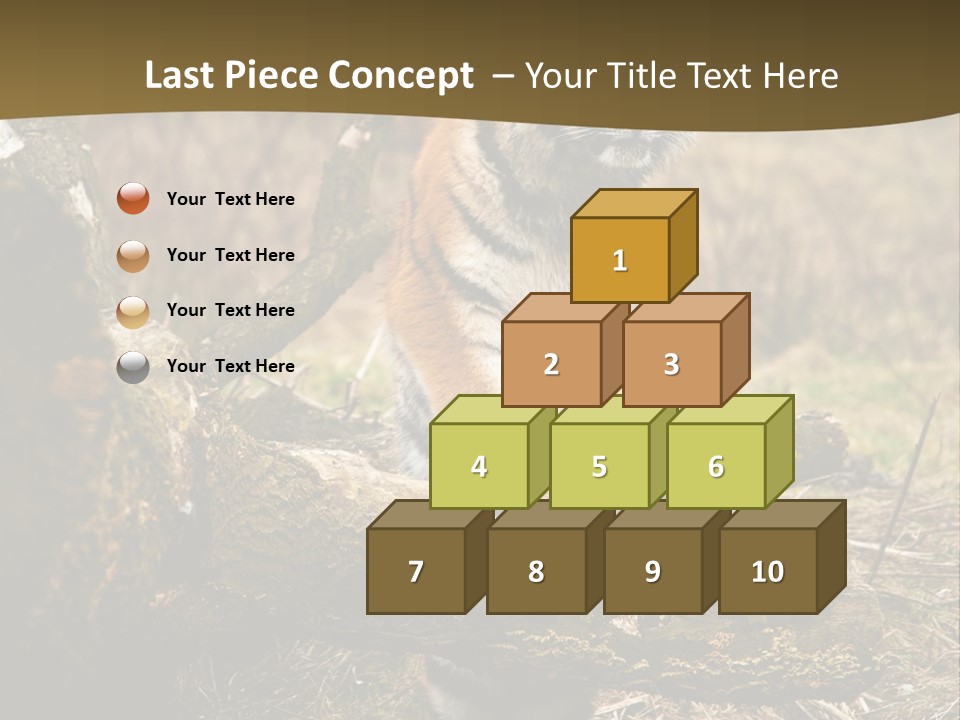 Siberian Tiger PowerPoint Template