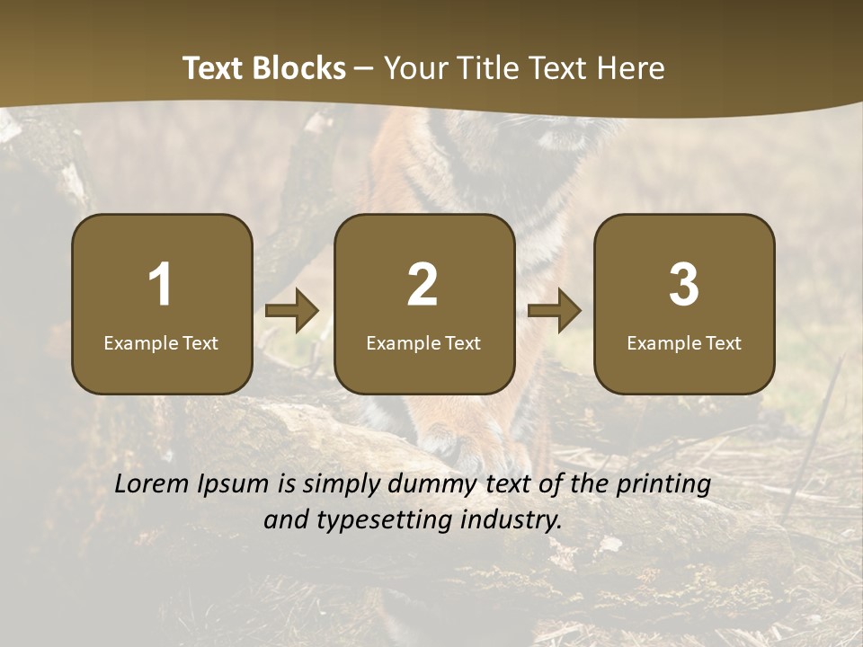 Siberian Tiger PowerPoint Template