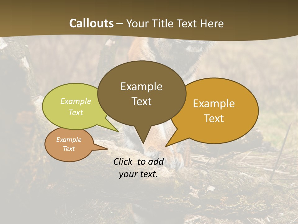 Siberian Tiger PowerPoint Template