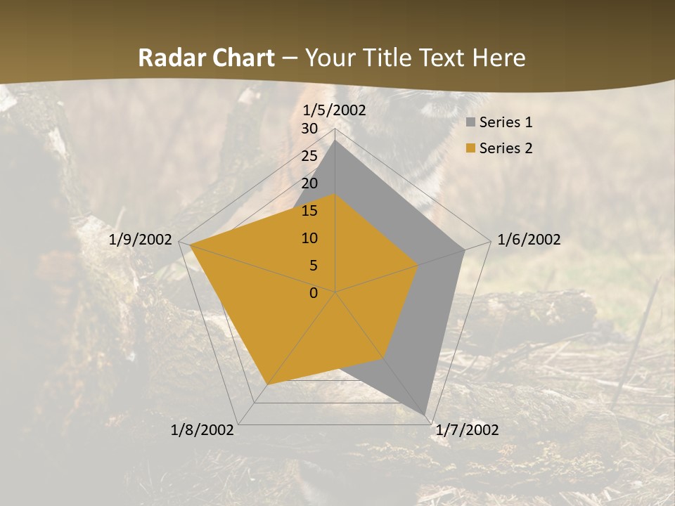 Siberian Tiger PowerPoint Template