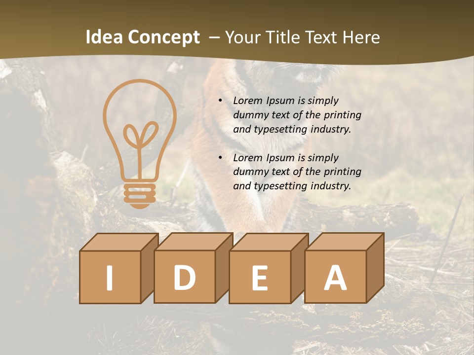 Siberian Tiger PowerPoint Template