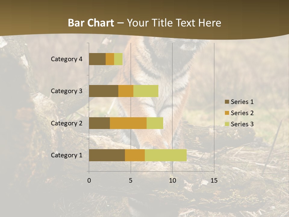 Siberian Tiger PowerPoint Template