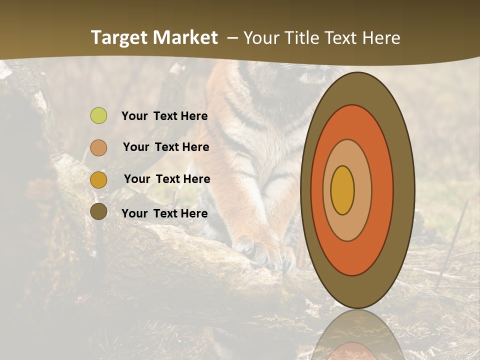 Siberian Tiger PowerPoint Template
