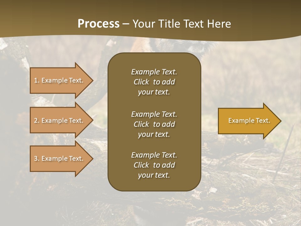 Siberian Tiger PowerPoint Template