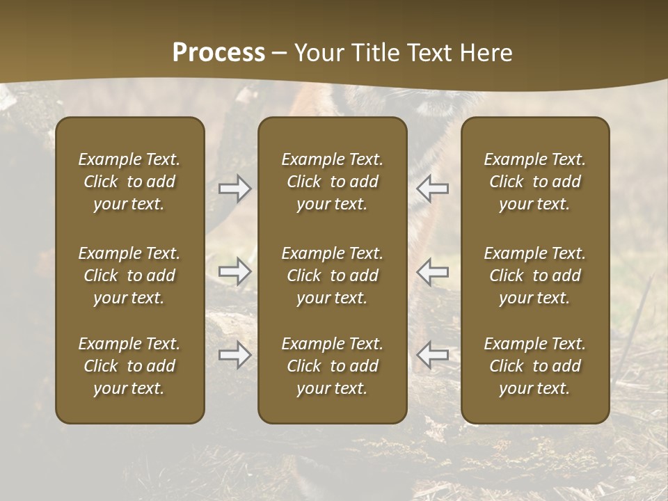 Siberian Tiger PowerPoint Template