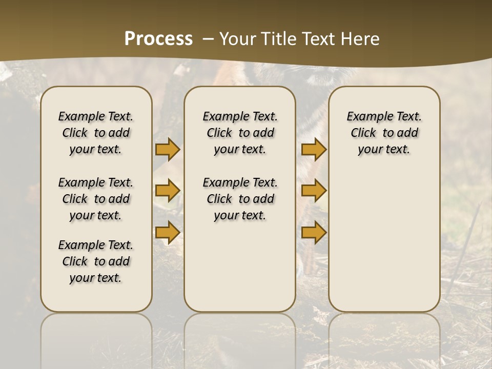 Siberian Tiger PowerPoint Template