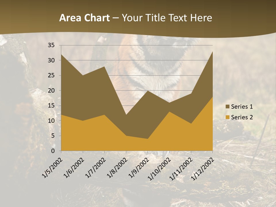 Siberian Tiger PowerPoint Template