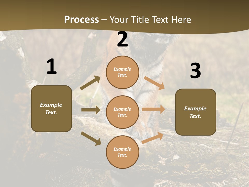 Siberian Tiger PowerPoint Template